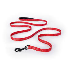 EzyDog Essential Leash LITE