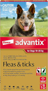 Advantix Red Dogs 10-25kgs 6pk