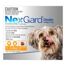 NEXGARD Orange 2-4KG