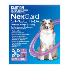 NEXGARD Spectra Purple 15.1kg-30kg