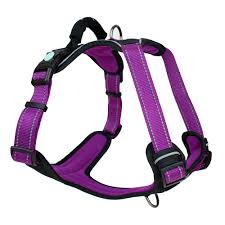 Huskimo Ulitmate Harness