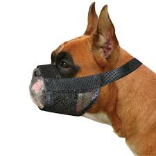 Pet One Adjustable Nylon Muzzle Boxer