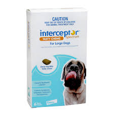 Interceptor Blue for Large Dogs 22-45kgs