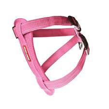 EzyDog Chest Plate Harness Pink