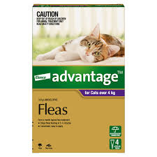 Advantage Purple for Cats over 4kgs