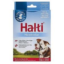 Halti Headcollar