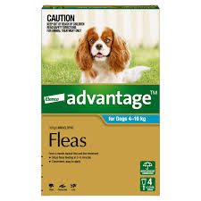 Advantage Aqua for Dogs 4-10kgs