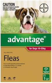 Advantage Red for Dogs 10-25kgs