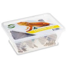 Pisces Crickets (BUY 1 GET 1 FREE)