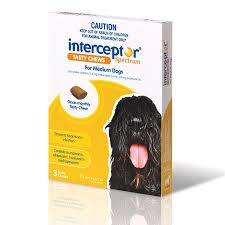 Interceptor Yellow for Medium Dogs 11-22kgs