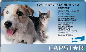 Capstar Blue for Cats and Dogs 0.5-11kgs