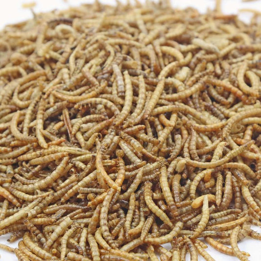 Happy Farm Hens Dried Mealworms