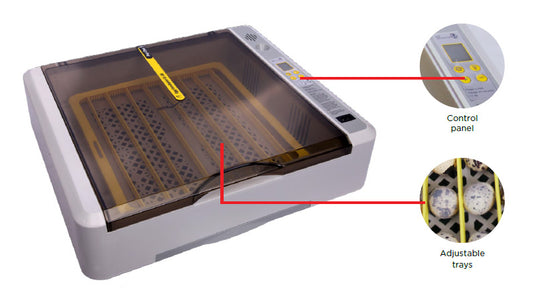 Reptile One Egg Incubator