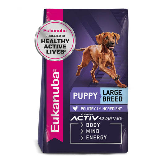 Eukanuba Large Breed Puppy Food