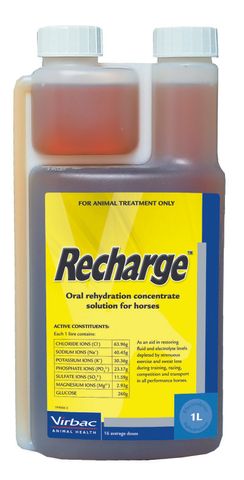 VIRBAC RECHARGE HORSE 1LT