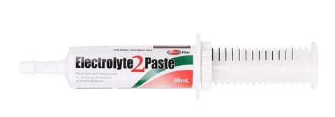 VALUEPLUS ELECTROLYTE 2 PASTE HORSE 60ML