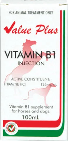 VALUEPLUS VITAMIN B1 INJECTION 100ML