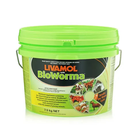 INTERNATION ANIMAL HEALTH LIVAMOL WITH BIOWORMA