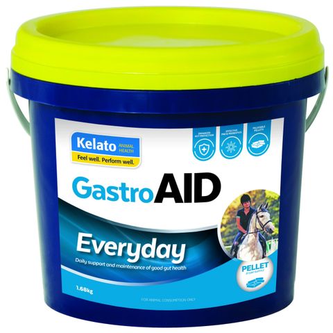 KELATO GASTROAID EVERYDAY