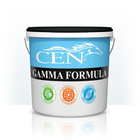 CEN GAMMA FORMULA 2L