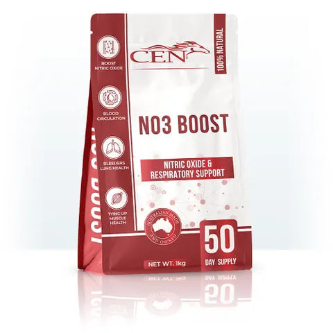 CEN NO3 BOOST 1KG