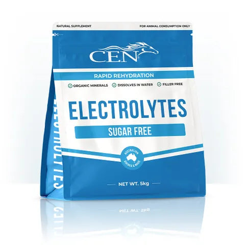 CEN HORSE ELECTROLYTES SUPPLEMENT 5KG