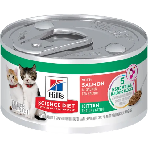 Hill's Science Diet Kitten Savory Salmon Entrée Canned Cat Food 24x82g