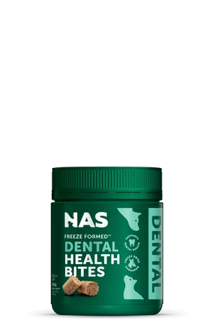 NAS HEALTH BITES DENTAL