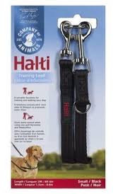 Halti Training Lead