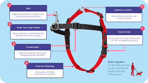 Halti Front Control Harness