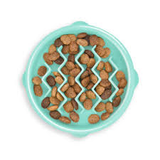 Outward Hound Fun Feeder Slo Bowl