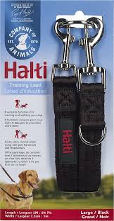 Halti Training Lead