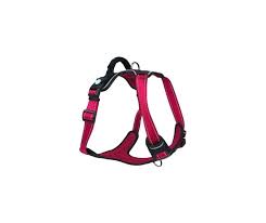 Huskimo Ulitmate Harness