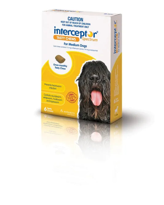 Interceptor Yellow for Medium Dogs 11-22kgs