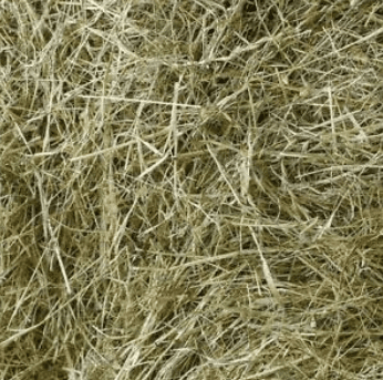 Merrylands Produce Meadow Hay