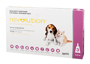 Revolution Purple for Cats and Kittens up to 2.5kgs