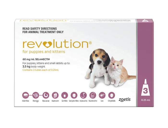 Revolution Purple for Cats and Kittens up to 2.5kgs