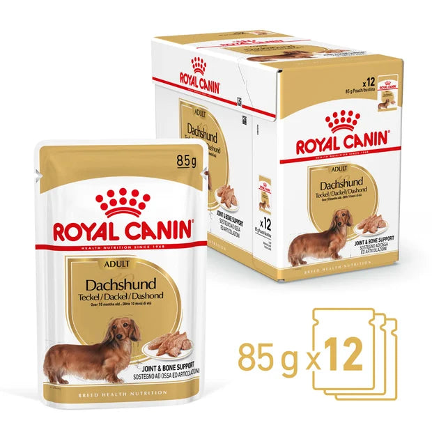 Royal Canin Dachshund 12x85g