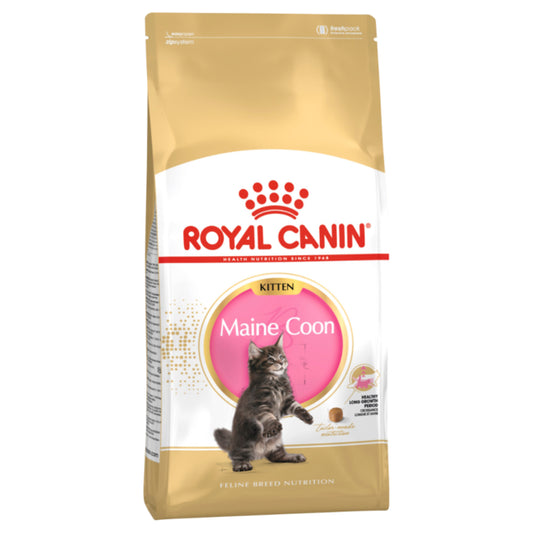 Royal Canin Maine Coon Kitten Dry Food