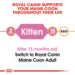 Royal Canin Maine Coon Kitten Dry Food