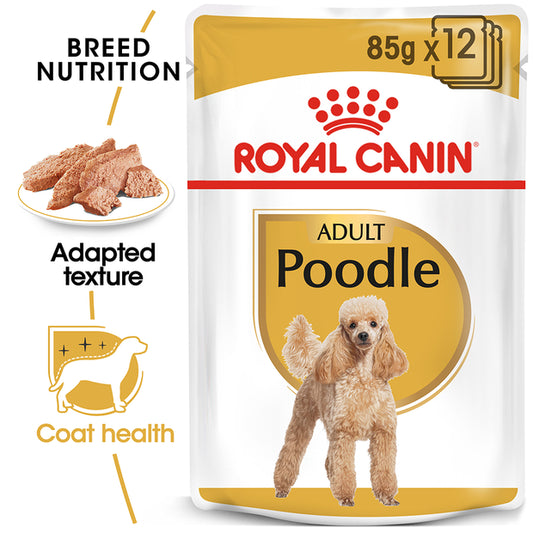 Royal Canin Poodle 12x85g