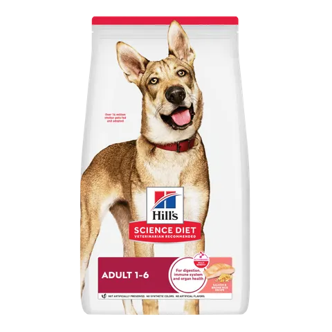 Hill's SCIENCE DIET ADULT SALMON DRY DOG FOOD