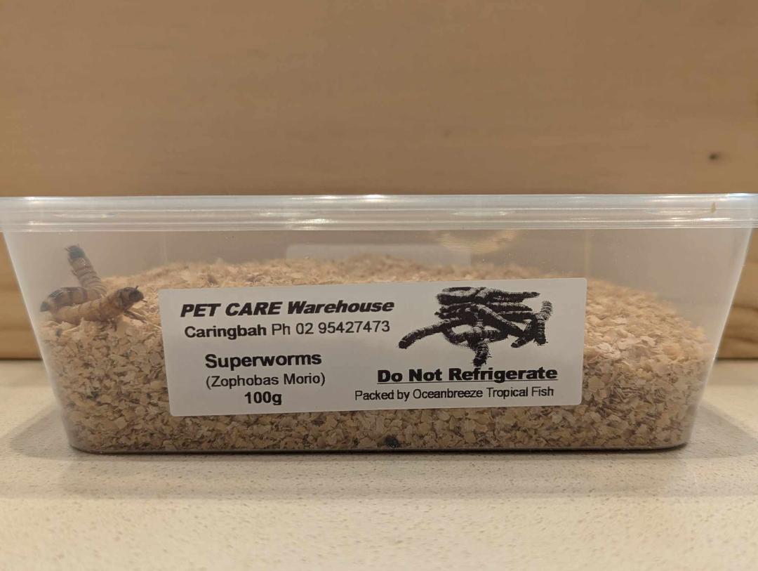 Petcare Warehouse Superworms